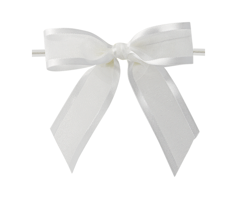 0029 White Ballet Bow