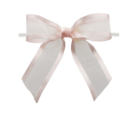 0117 Light Pink Ballet Bow