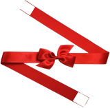 0250 Red Bow + Ribbon Wrap