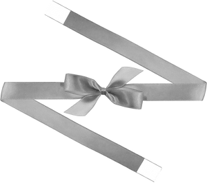 0012 Silver Bow + Ribbon Wrap