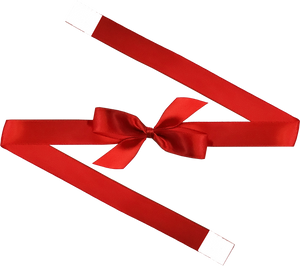 0250 Red Bow + Ribbon Wrap