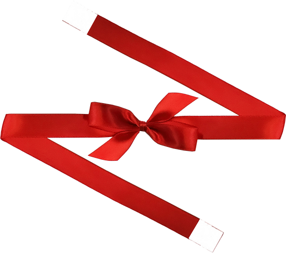 0250 Red Bow + Ribbon Wrap