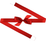 0250 Red Bow + Ribbon Wrap