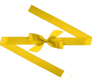 0645 Daffodil Bow + Ribbon Wrap