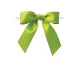 0548 Kiwi Satin Bow