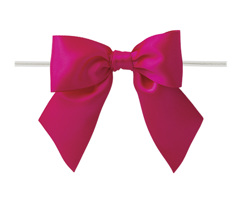 Butterfly Ribbon bow Print Satin Pink Bras Underwear Sleepwear Lingeri –  secretplaceps91