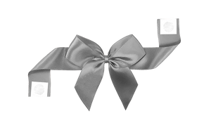 Packaging Express_0012 Silver Pretie Bow with Glue Dot