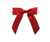 0250 Red Satin Bow